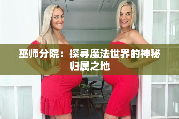 巫师分院：探寻魔法世界的神秘归属之地