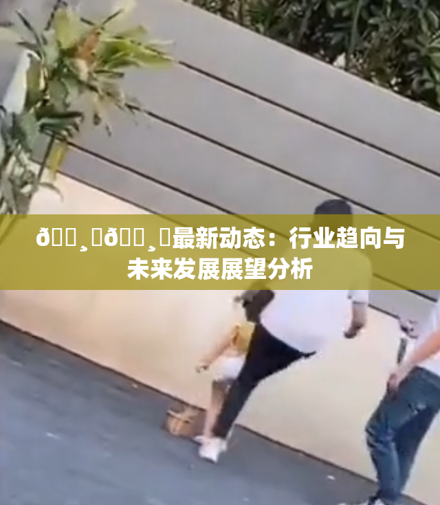 🌸‌🌸‌最新动态：行业趋向与未来发展展望分析