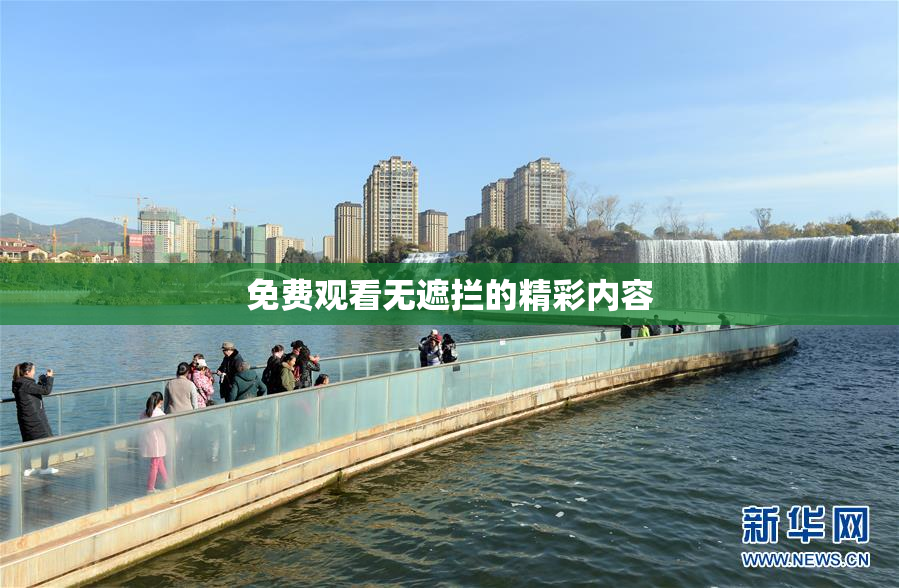 免费观看无遮拦的精彩内容