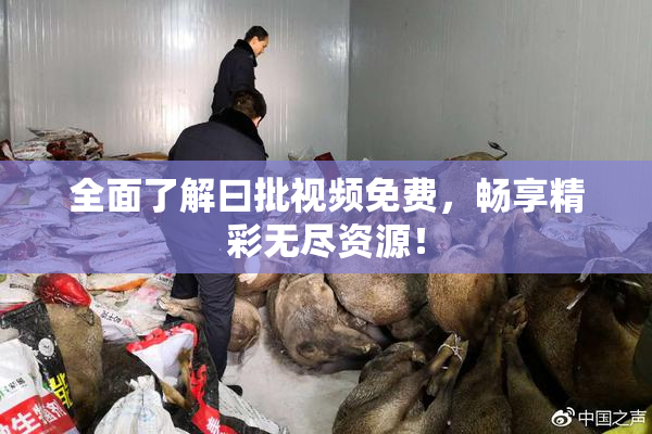 全面了解曰批视频免费，畅享精彩无尽资源！