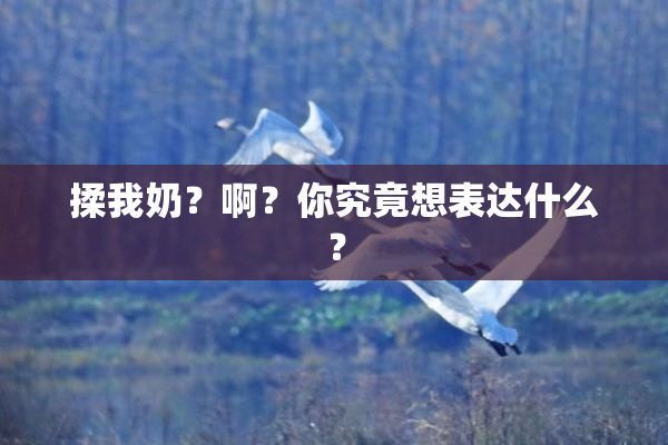 揉我奶？啊？你究竟想表达什么？