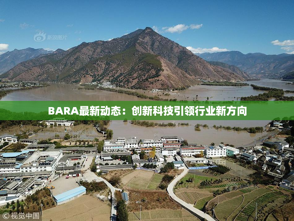 BARA最新动态：创新科技引领行业新方向