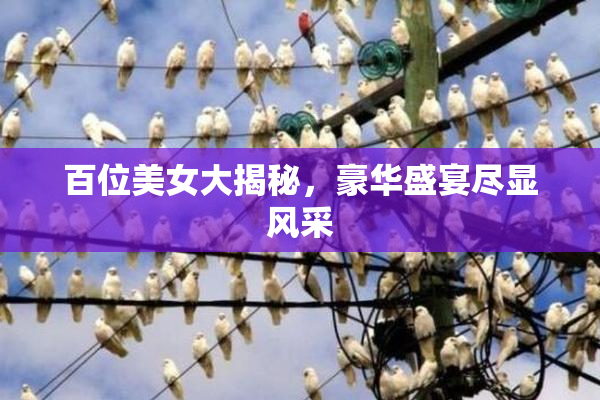 百位美女大揭秘，豪华盛宴尽显风采