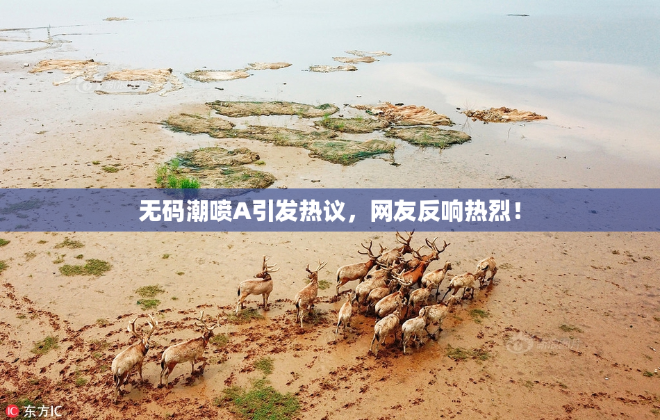 无码潮喷A引发热议，网友反响热烈！