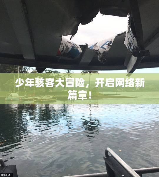 少年骇客大冒险，开启网络新篇章！