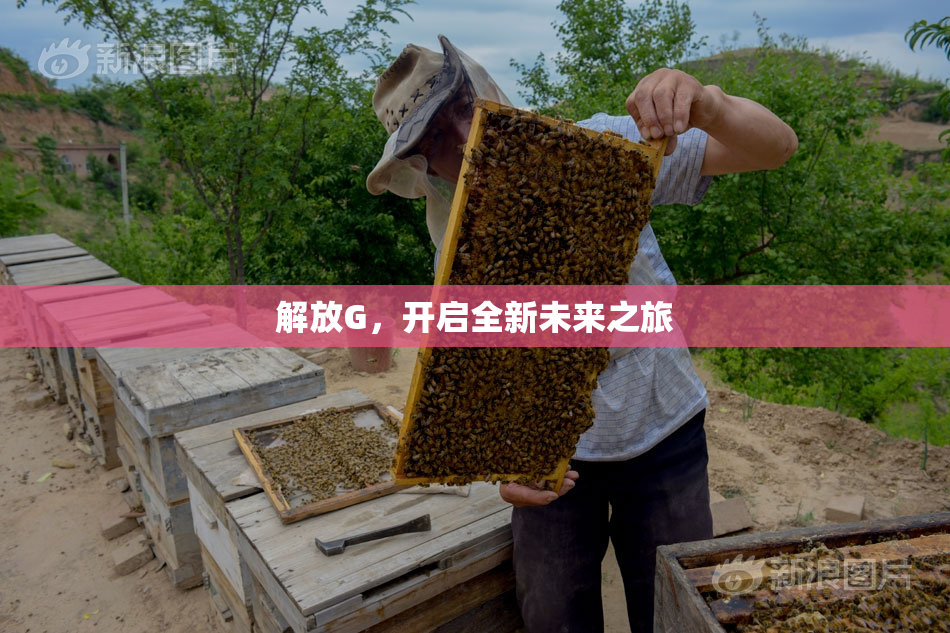 解放G，开启全新未来之旅