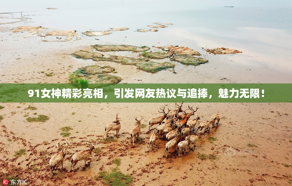 91女神精彩亮相，引发网友热议与追捧，魅力无限！