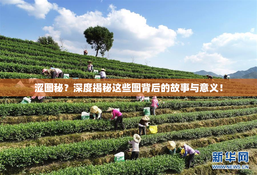 涩图秘？深度揭秘这些图背后的故事与意义！