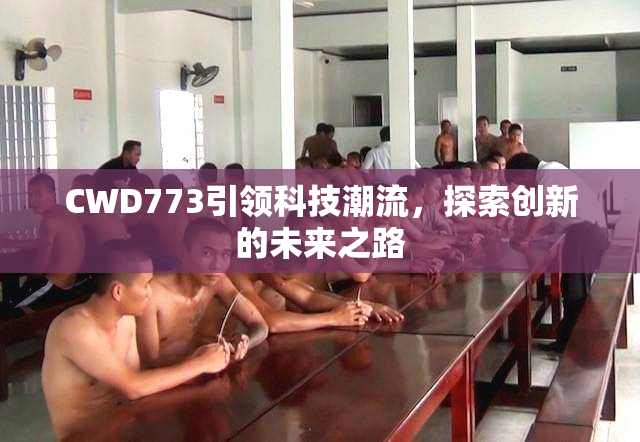 CWD773引领科技潮流，探索创新的未来之路