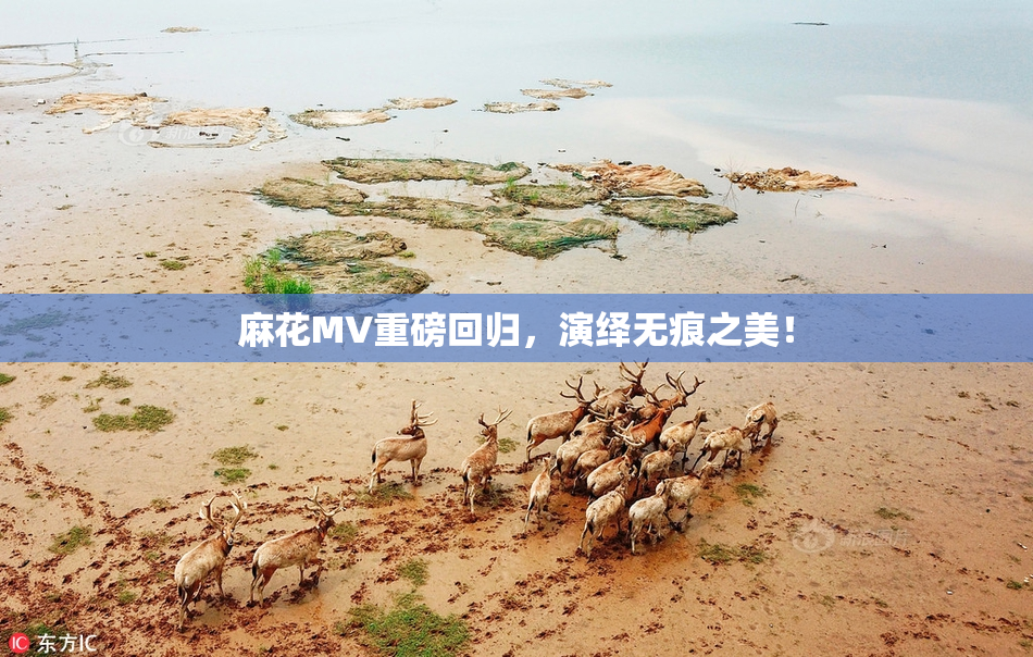 麻花MV重磅回归，演绎无痕之美！