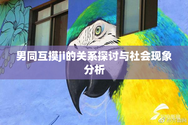 男同互摸ji的关系探讨与社会现象分析