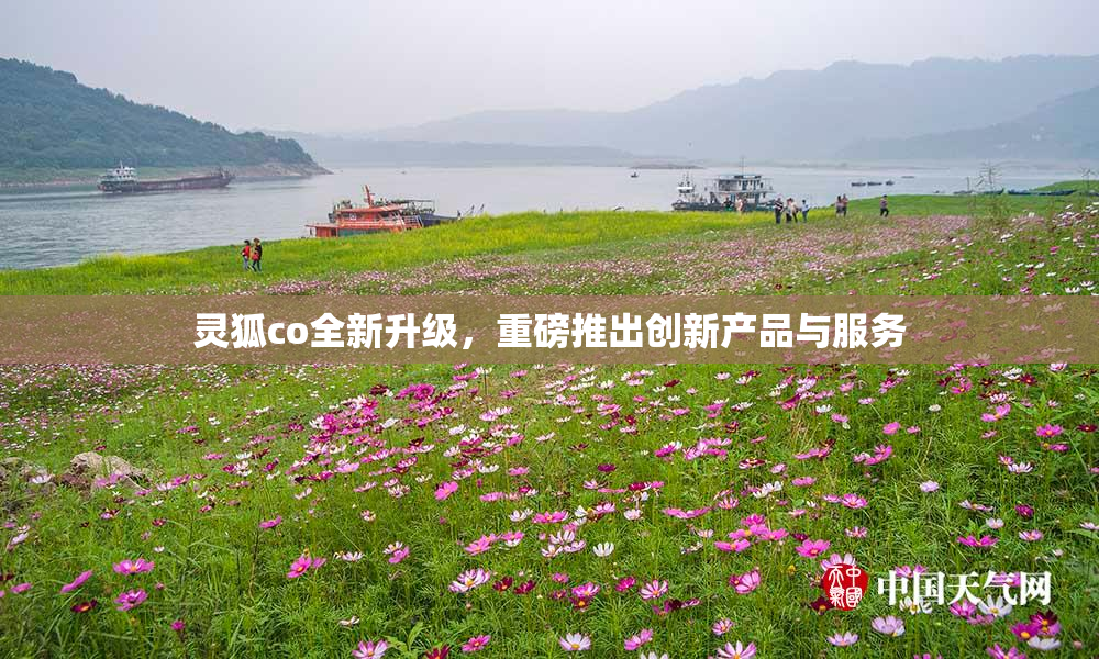 灵狐co全新升级，重磅推出创新产品与服务