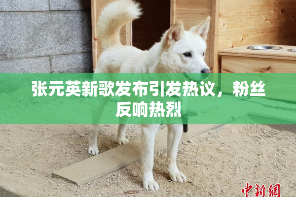 张元英新歌发布引发热议，粉丝反响热烈