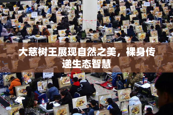 大慈树王展现自然之美，裸身传递生态智慧