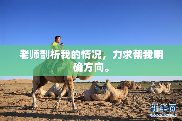 老师剖析我的情况，力求帮我明确方向。