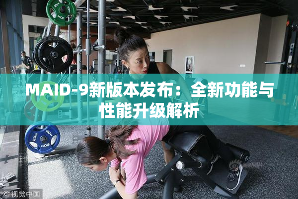 MAID-9新版本发布：全新功能与性能升级解析