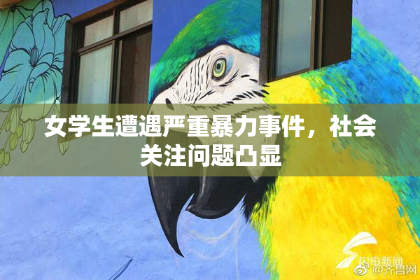 女学生遭遇严重暴力事件，社会关注问题凸显