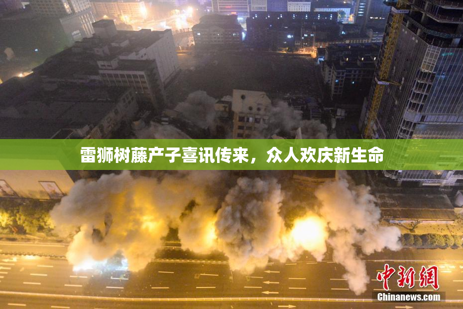 雷狮树藤产子喜讯传来，众人欢庆新生命