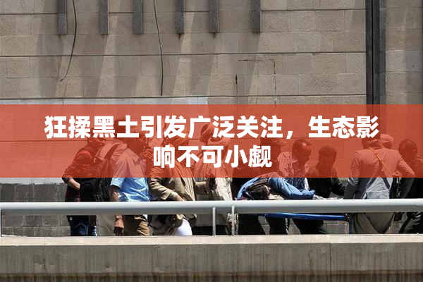 狂揉黑土引发广泛关注，生态影响不可小觑