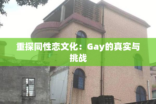 重探同性恋文化：Gay的真实与挑战