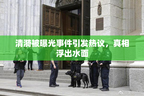清漪被曝光事件引发热议，真相浮出水面