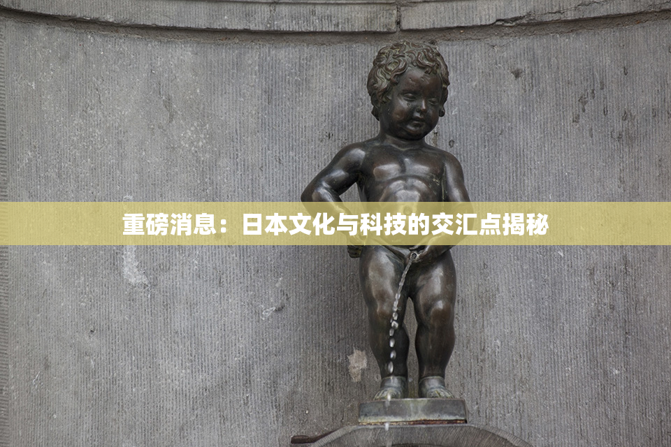 重磅消息：日本文化与科技的交汇点揭秘
