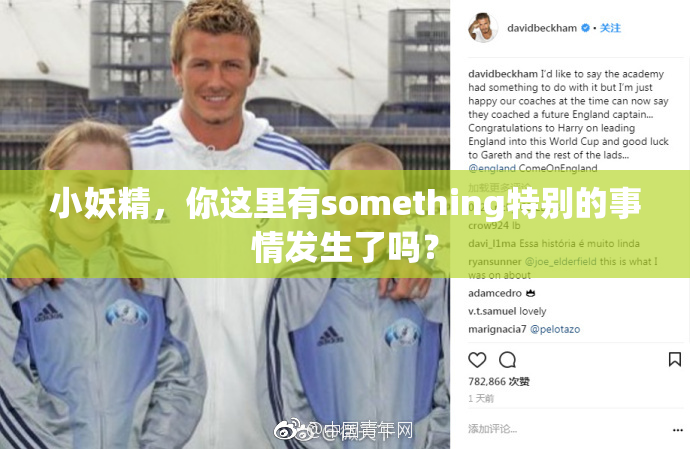小妖精，你这里有something特别的事情发生了吗？