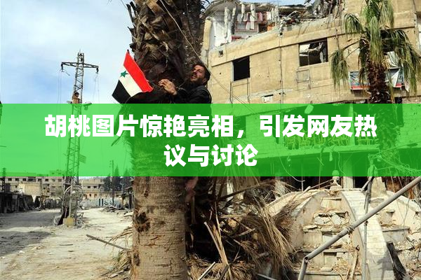 胡桃图片惊艳亮相，引发网友热议与讨论