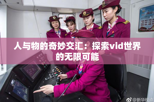 人与物的奇妙交汇：探索vid世界的无限可能