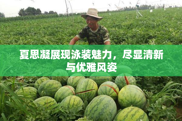 夏思凝展现泳装魅力，尽显清新与优雅风姿