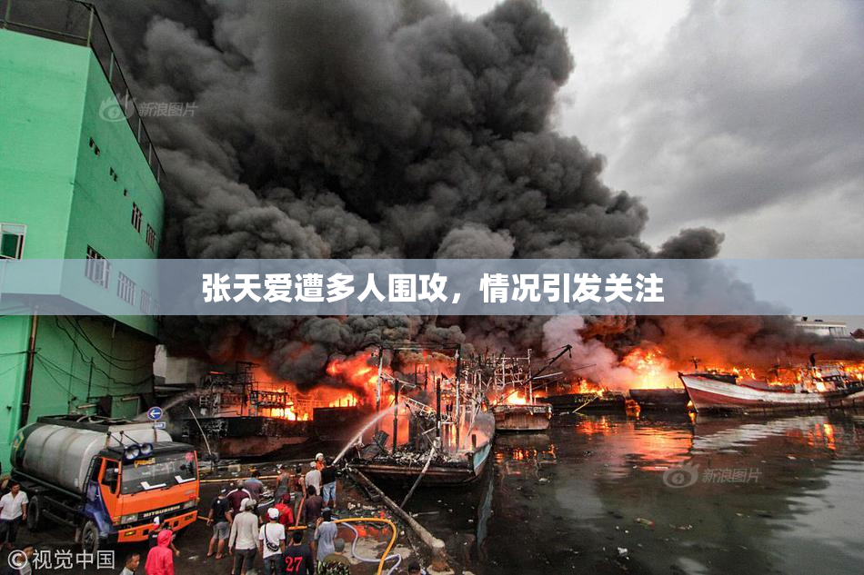 张天爱遭多人围攻，情况引发关注