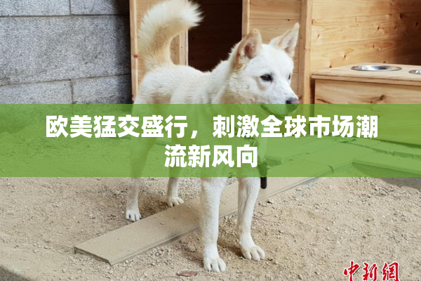 欧美猛交盛行，刺激全球市场潮流新风向