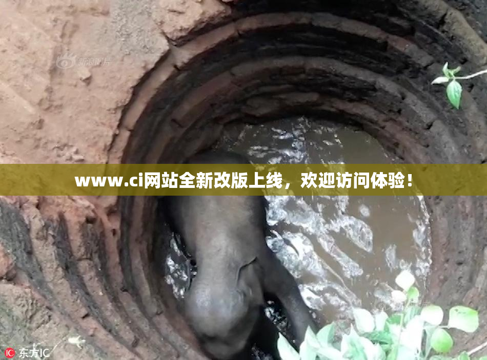 www.ci网站全新改版上线，欢迎访问体验！