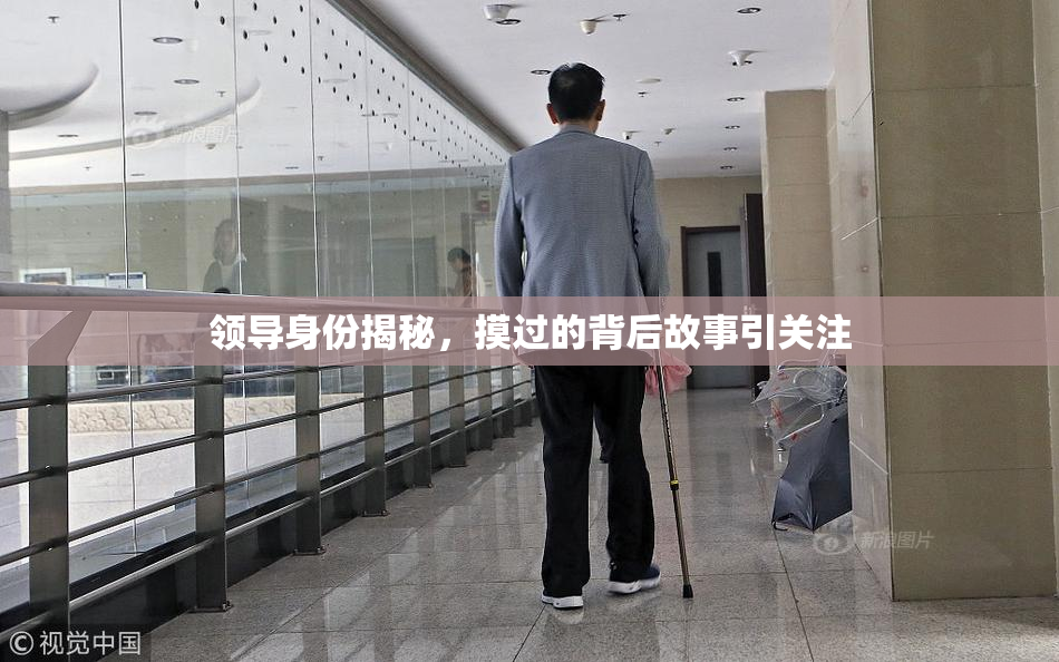 领导身份揭秘，摸过的背后故事引关注