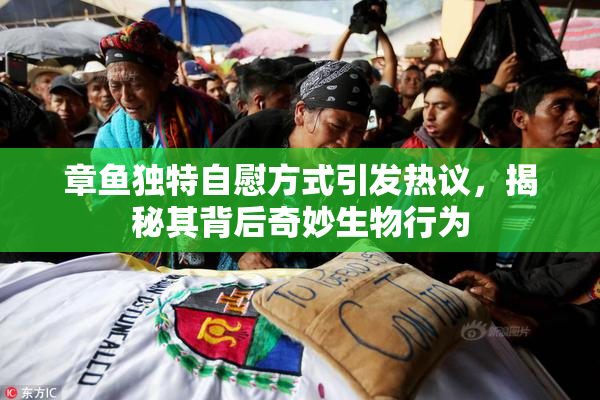 章鱼独特自慰方式引发热议，揭秘其背后奇妙生物行为
