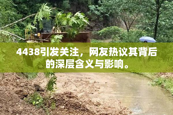 4438引发关注，网友热议其背后的深层含义与影响。