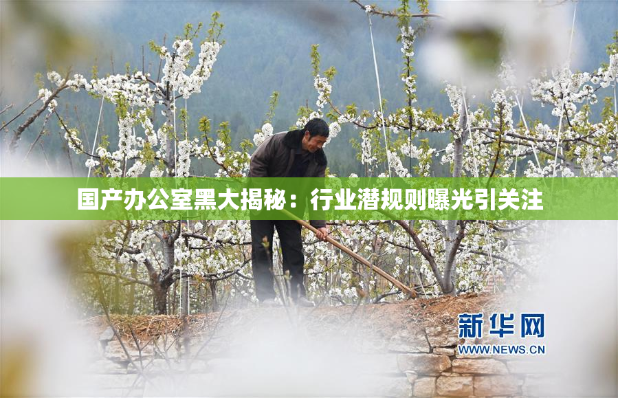 国产办公室黑大揭秘：行业潜规则曝光引关注