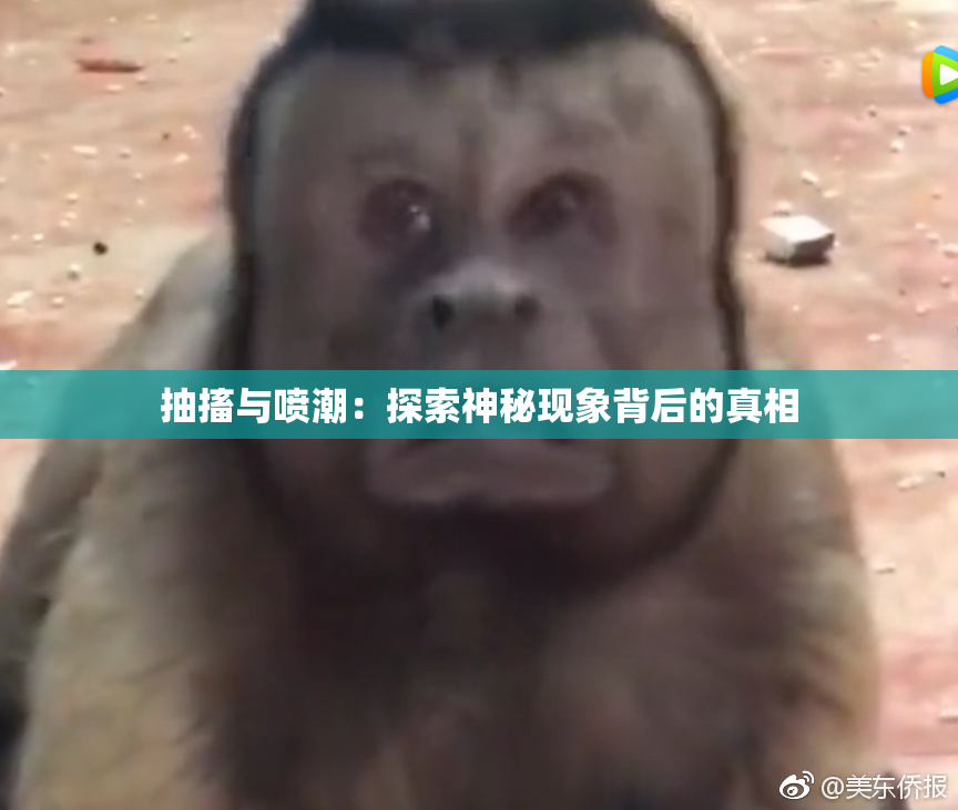 抽搐与喷潮：探索神秘现象背后的真相