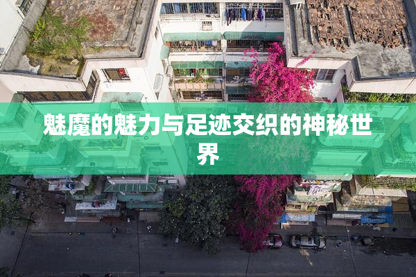 魅魔的魅力与足迹交织的神秘世界