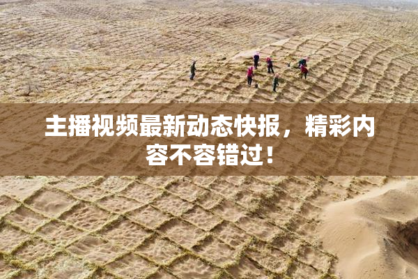 主播视频最新动态快报，精彩内容不容错过！