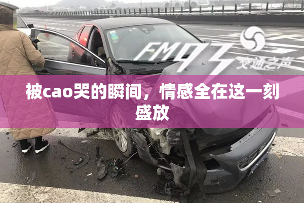 被cao哭的瞬间，情感全在这一刻盛放