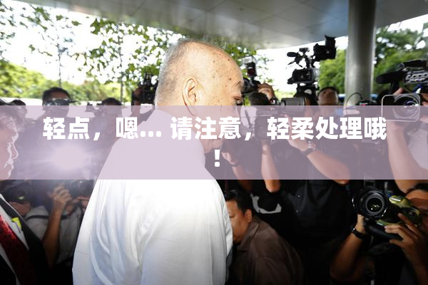 轻点，嗯... 请注意，轻柔处理哦！