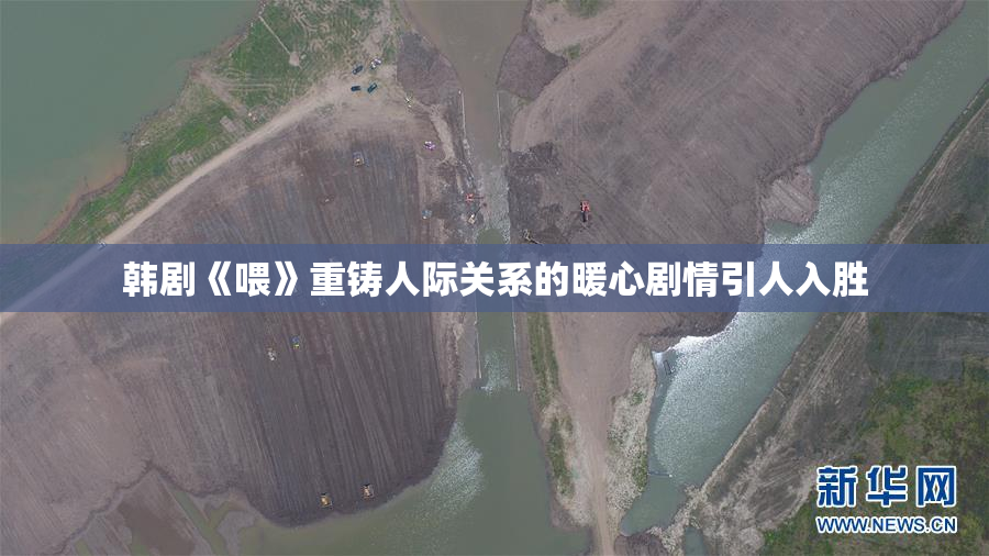 韩剧《喂》重铸人际关系的暖心剧情引人入胜