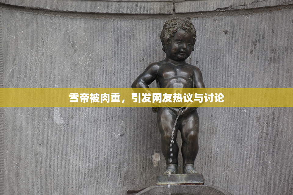 雪帝被肉重，引发网友热议与讨论