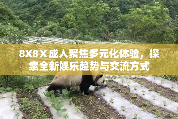 8X8Ⅹ成人聚焦多元化体验，探索全新娱乐趋势与交流方式