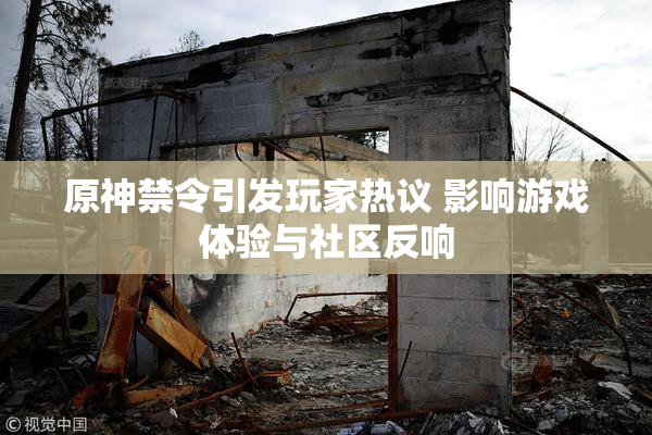 原神禁令引发玩家热议 影响游戏体验与社区反响