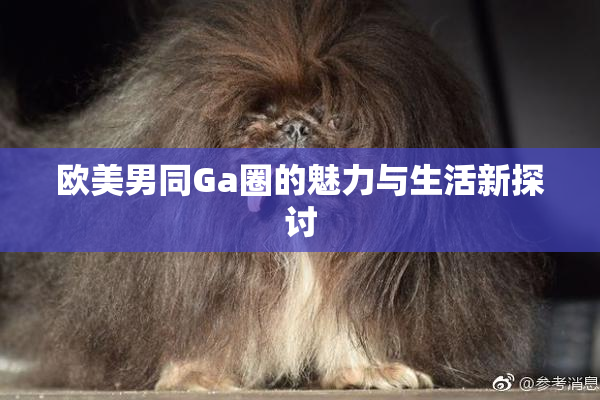 欧美男同Ga圈的魅力与生活新探讨