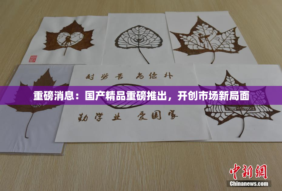 重磅消息：国产精品重磅推出，开创市场新局面