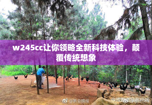 w245cc让你领略全新科技体验，颠覆传统想象