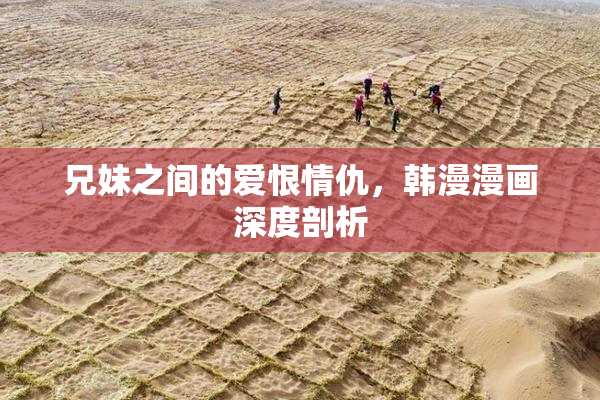 兄妹之间的爱恨情仇，韩漫漫画深度剖析